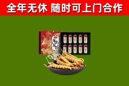 东海回收冬虫夏草价格
